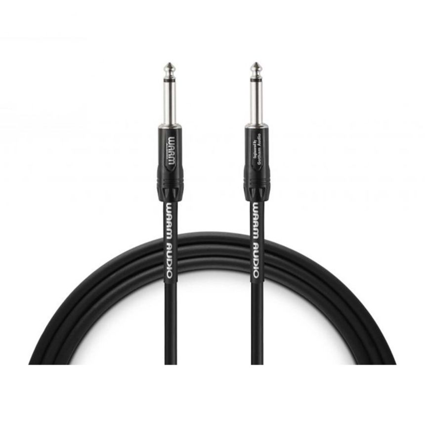 WARM AUDIO PRO-TS