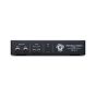 Black Lion Audio Revolution 2x2