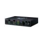 Black Lion Audio Revolution 2x2