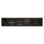 Black Lion Audio Bluey
