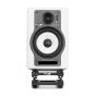 Fluid Audio DS5 (Pair)