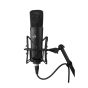 Warm Audio WA-87 R2 Black