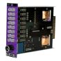 Purple Audio Moiyn