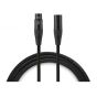 Warm Audio PREM-XLR