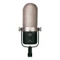 Golden Age Project R 1 Active MKIII